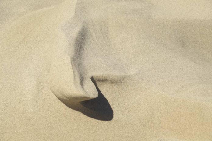 Shape and form in the blowing sand at South Padre Island, TX
