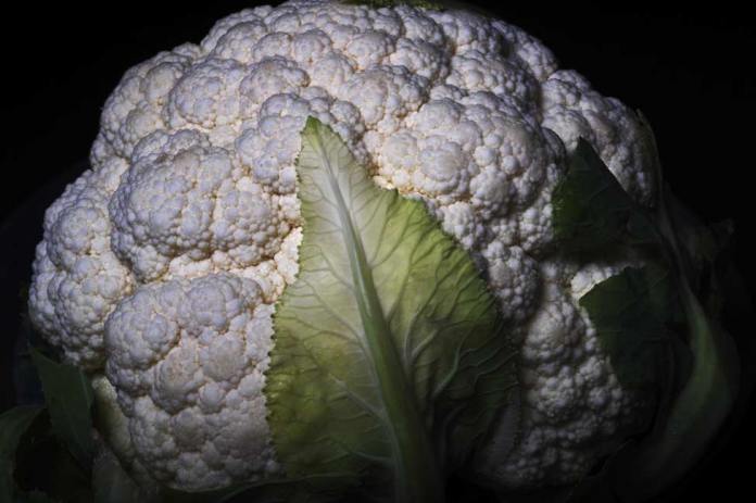 Close up of a head of cauliflower