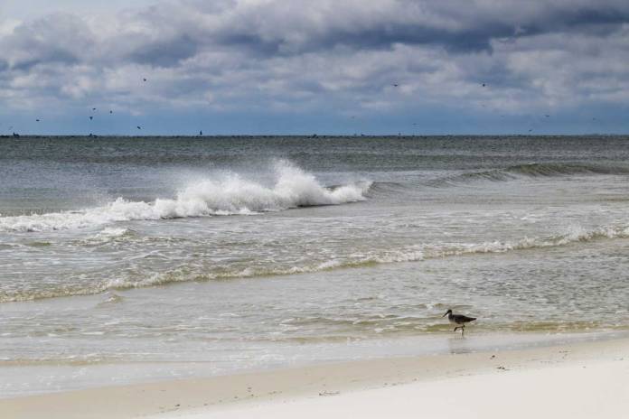 A frigid north wind blows the tops off waves rolling onto the beach at Gulf Shores, Alabama, USA.
